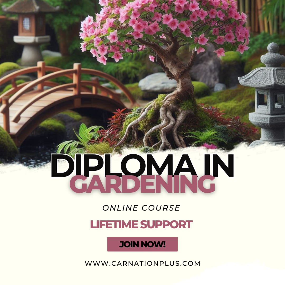 Diploma in gardening